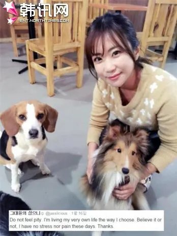 金盛恩的代表作