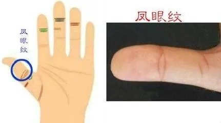哪几种手相是富贵命
