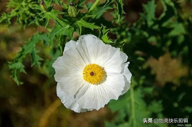 如果你真的爱他，会给他哪两样东西？