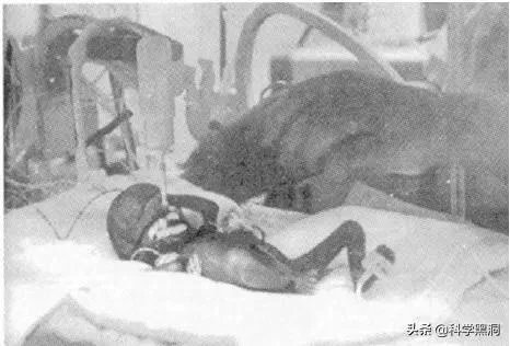 外星人婴儿到底是真的还是假的？