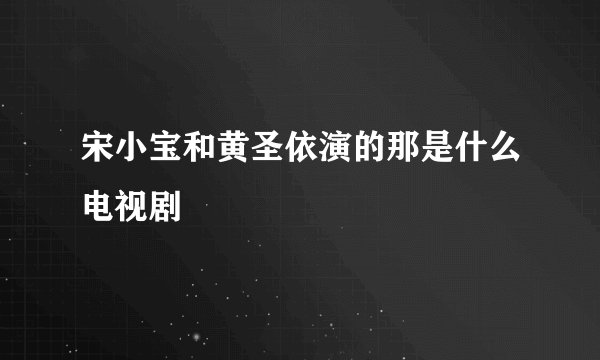 宋小宝和黄圣依演的那是什么电视剧