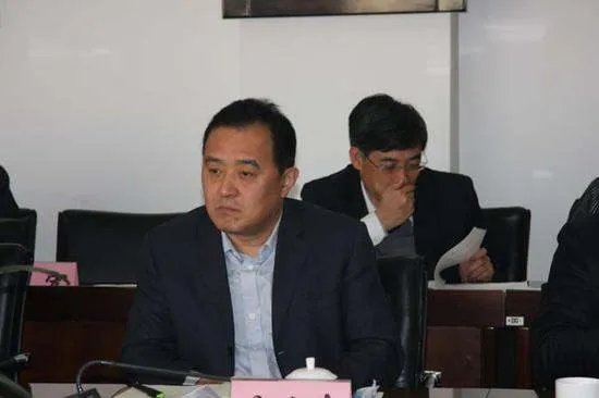 苗俭中的人物履历