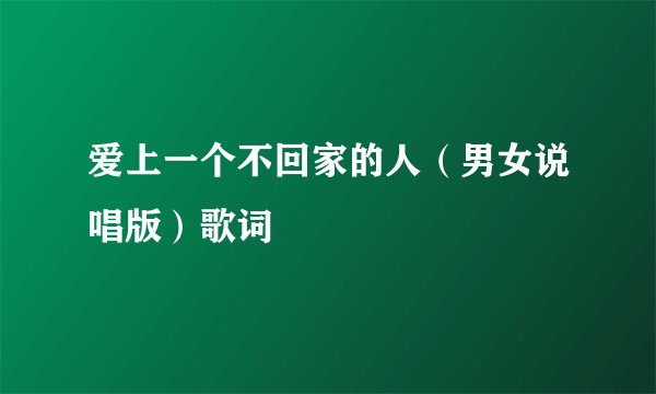 爱上一个不回家的人（男女说唱版）歌词