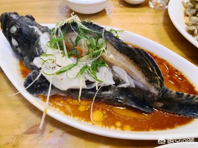 想去厦门自助游，有攻略推荐吗？