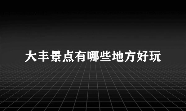 大丰景点有哪些地方好玩