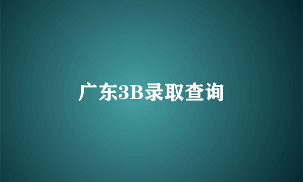 广东3B录取查询