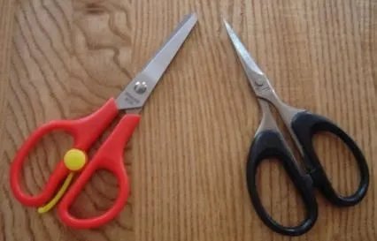 左撇子节的简介