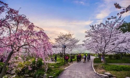 武汉旅游景点排名有哪些？