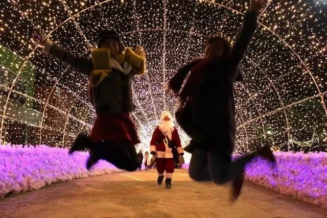 上海在圣诞节一般会举办哪些大型活动？