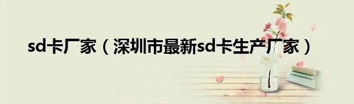 sd卡厂家（深圳市最新sd卡生产厂家）