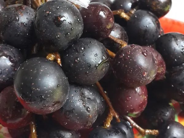 从《北京爱情故事》中看到腾冲的云南胭脂红酒具体是什么酒，怎么酿的？