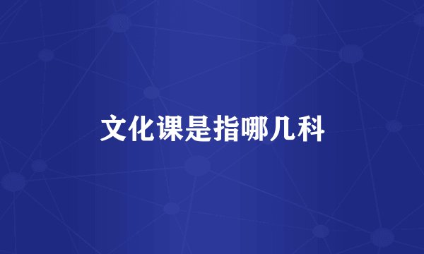 文化课是指哪几科