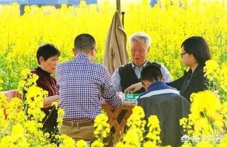 皮皮麻将这款游戏是怎么样火起来的？