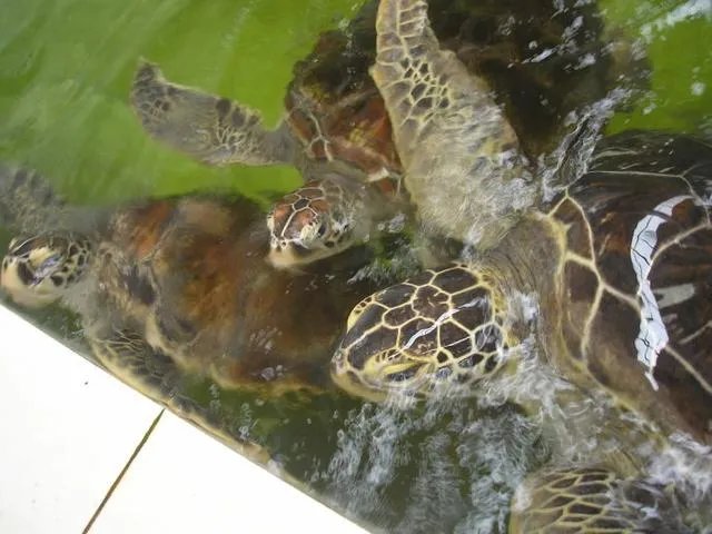 惠州惠东港口镇好不好玩，听说有很多海鲜？