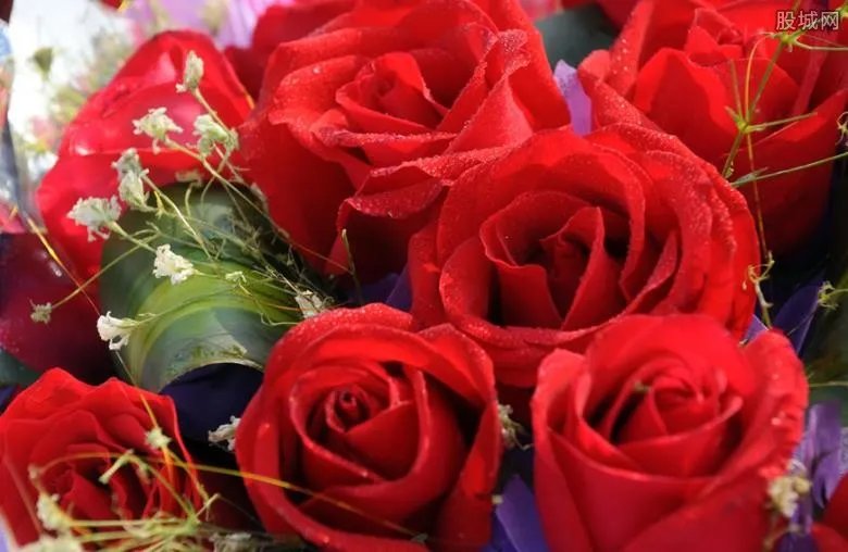 玫瑰花多少钱一朵 11朵玫瑰花多少钱