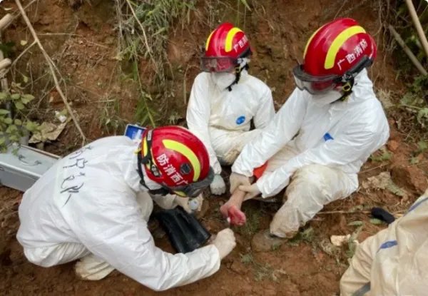 东航MU5735遇难者DNA比对完成，究竟是如何比对的？