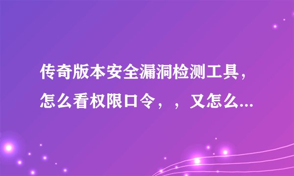 传奇版本安全漏洞检测工具，怎么看权限口令，，又怎么知道是那个SF，