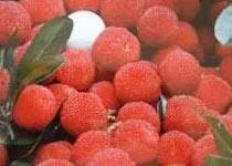 十一黄山旅游攻略