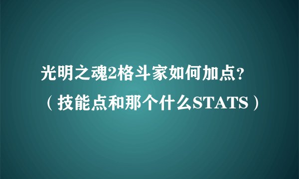 光明之魂2格斗家如何加点？（技能点和那个什么STATS）