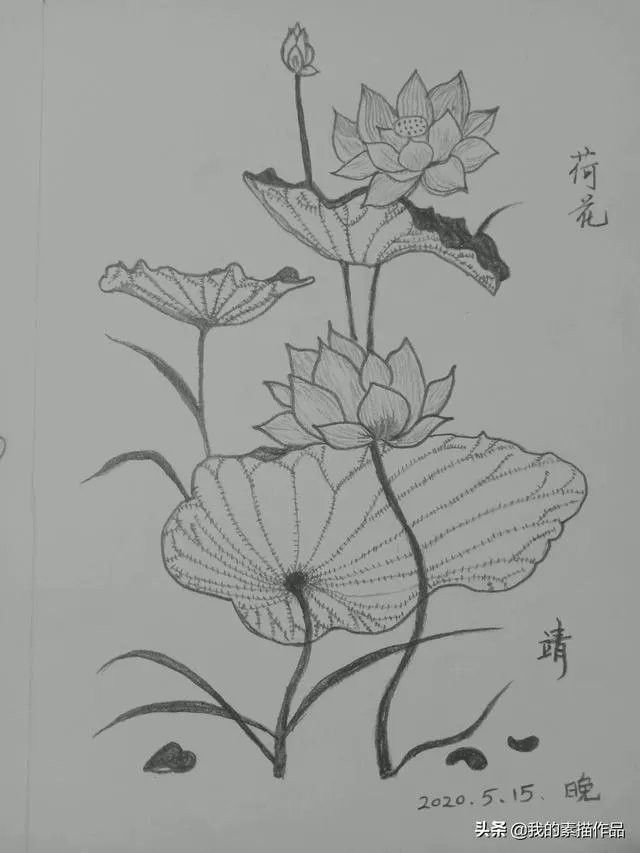 想自学绘画，请问要怎么做？