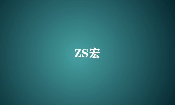 ZS宏