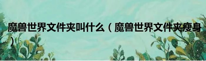 魔兽世界文件夹叫什么（魔兽世界文件夹瘦身）