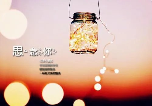 偏执大佬怀里的掌心娇美又飒承欢夜之庭夜谦小说全集免费试读