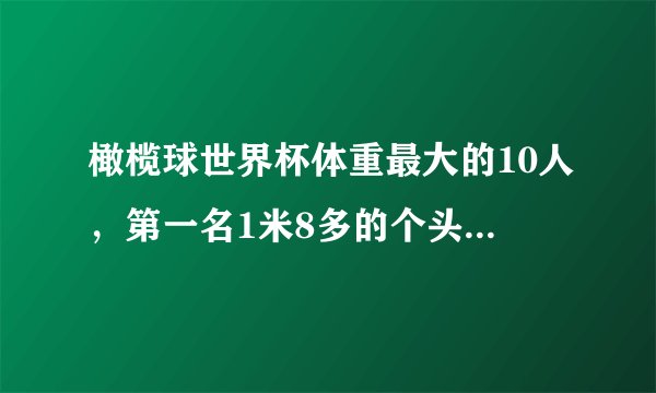 橄榄球世界杯体重最大的10人，第一名1米8多的个头，体重却超姚明