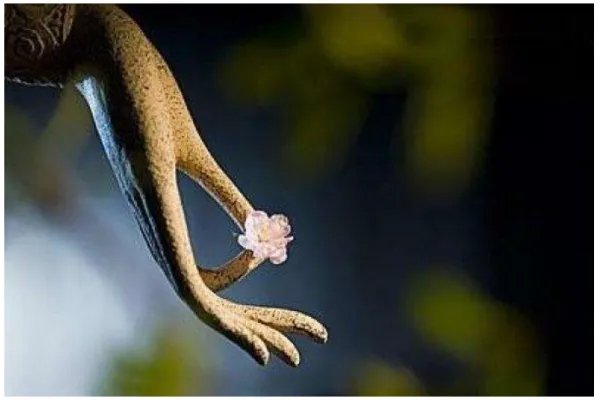 十首最好听的佛教歌曲有哪些？