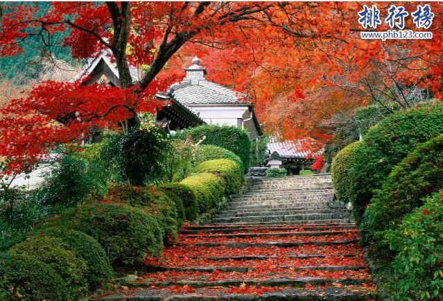 世界十大城市面积排名：北京排第二（16410.5万平方千米）