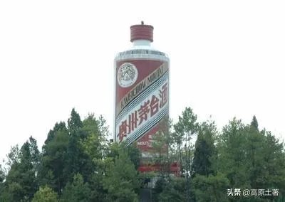 被立案的股票有希望上升吗？