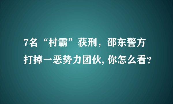 7名“村霸”获刑，邵东警方打掉一恶势力团伙, 你怎么看？