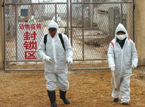 北京23天新增332例,新增病例有无境外输入?