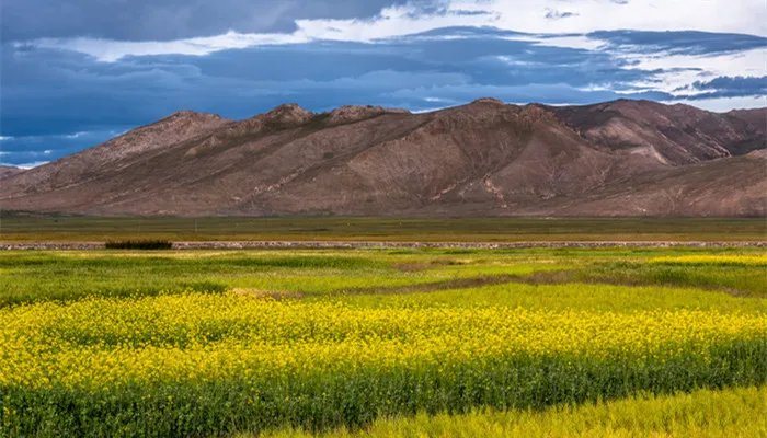 湖州旅游攻略必玩的景点 湖州旅游攻略必玩的景点大全