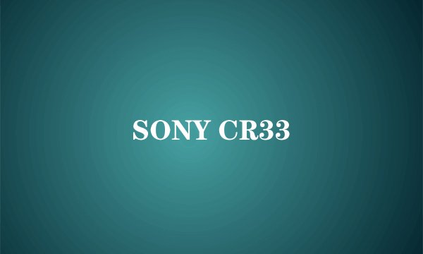 SONY CR33