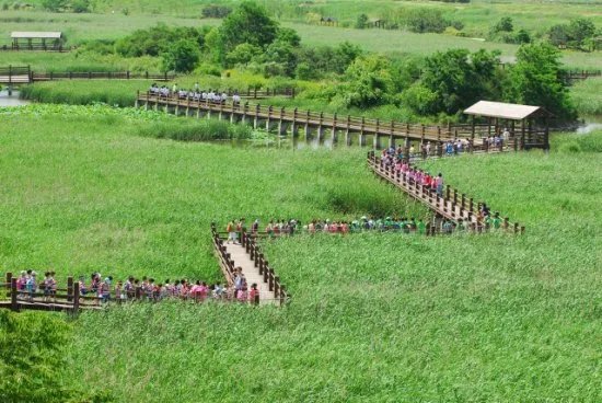 请问，谁能说一下，韩国京畿道景点的位置在哪儿吗?