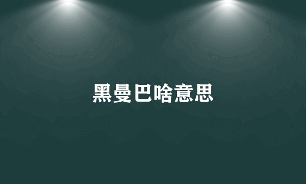 黑曼巴啥意思