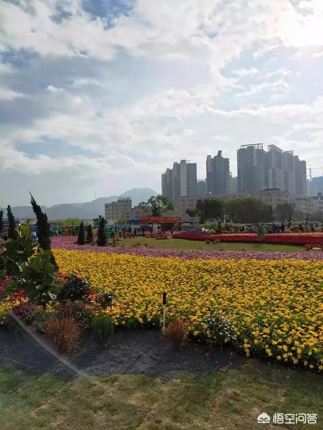 对富士康裁员五万你有什么看法？