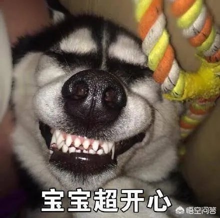 2018年斗鱼嘉年华的规模到底有多大？