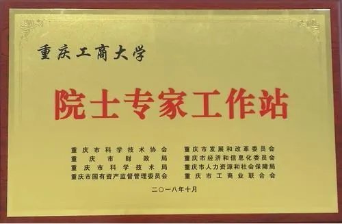 重庆工商大学有专科吗