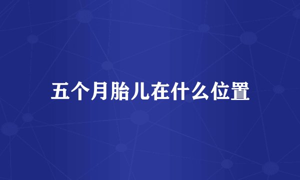 五个月胎儿在什么位置