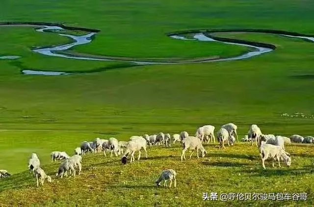 尼康d300s怎么样？