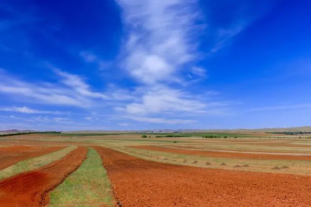 呼和浩特市武川县的发展潜力大吗？