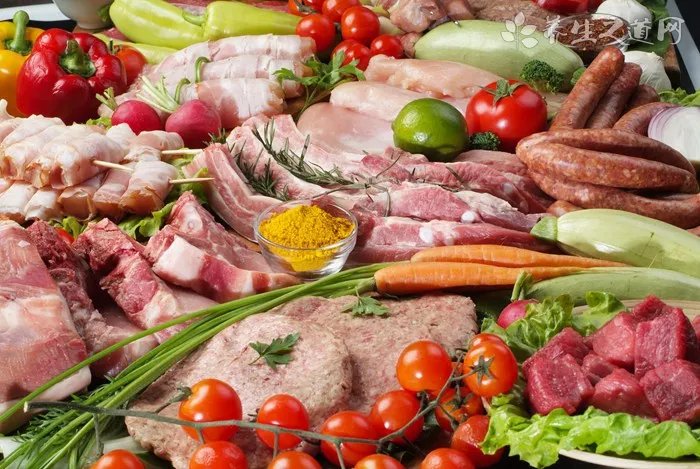 汉诺威马是现存最古老的温血马品种之一