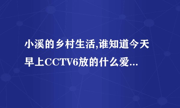 小溪的乡村生活,谁知道今天早上CCTV6放的什么爱情电影？