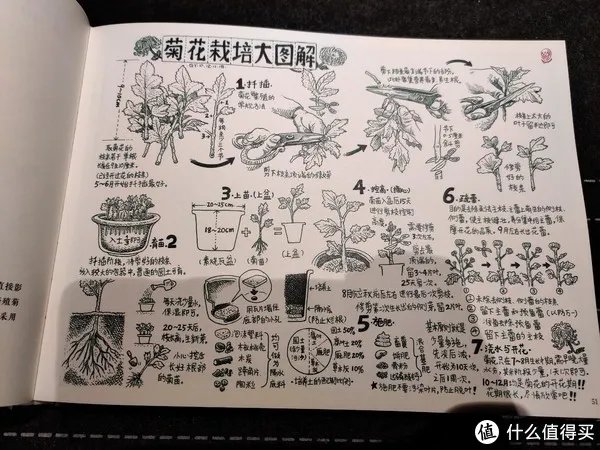 不求甚解集 篇二十：我们的八十年代：《漫步八十年代：老北京拾遗》