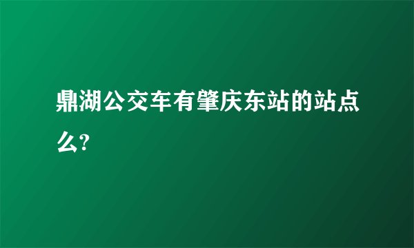 鼎湖公交车有肇庆东站的站点么?