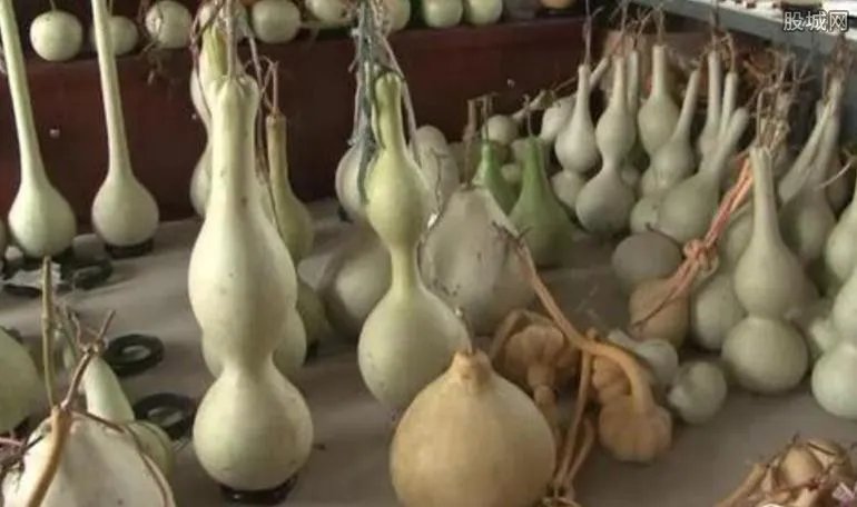 涓浗钁姦绗竴鏉� 鏉戞皯闈犺懌鑺﹁嚧瀵屼竴涓兘鍗�3000鍏�