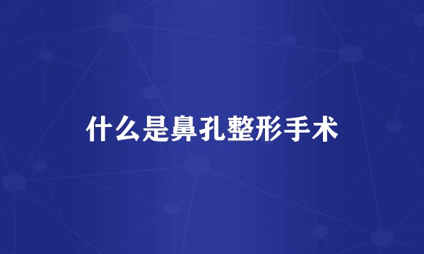 什么是鼻孔整形手术