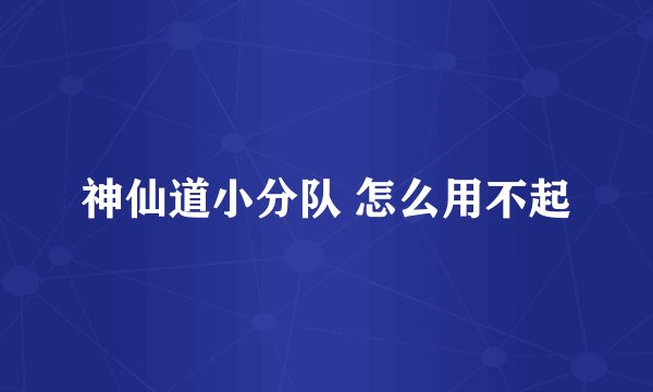 神仙道小分队 怎么用不起